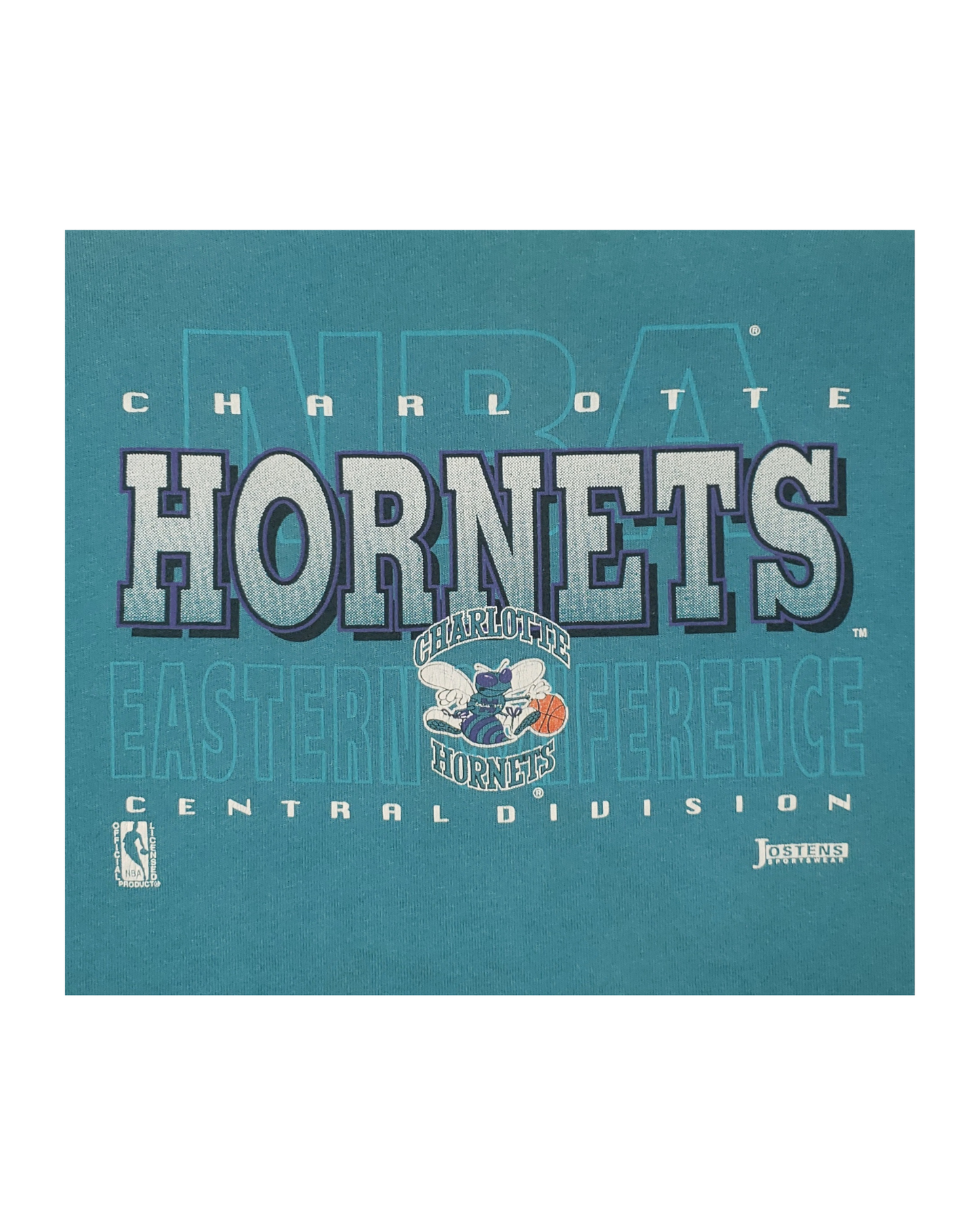 Vintage Charlotte Hornets Hooded 90's T-Shirt Lg