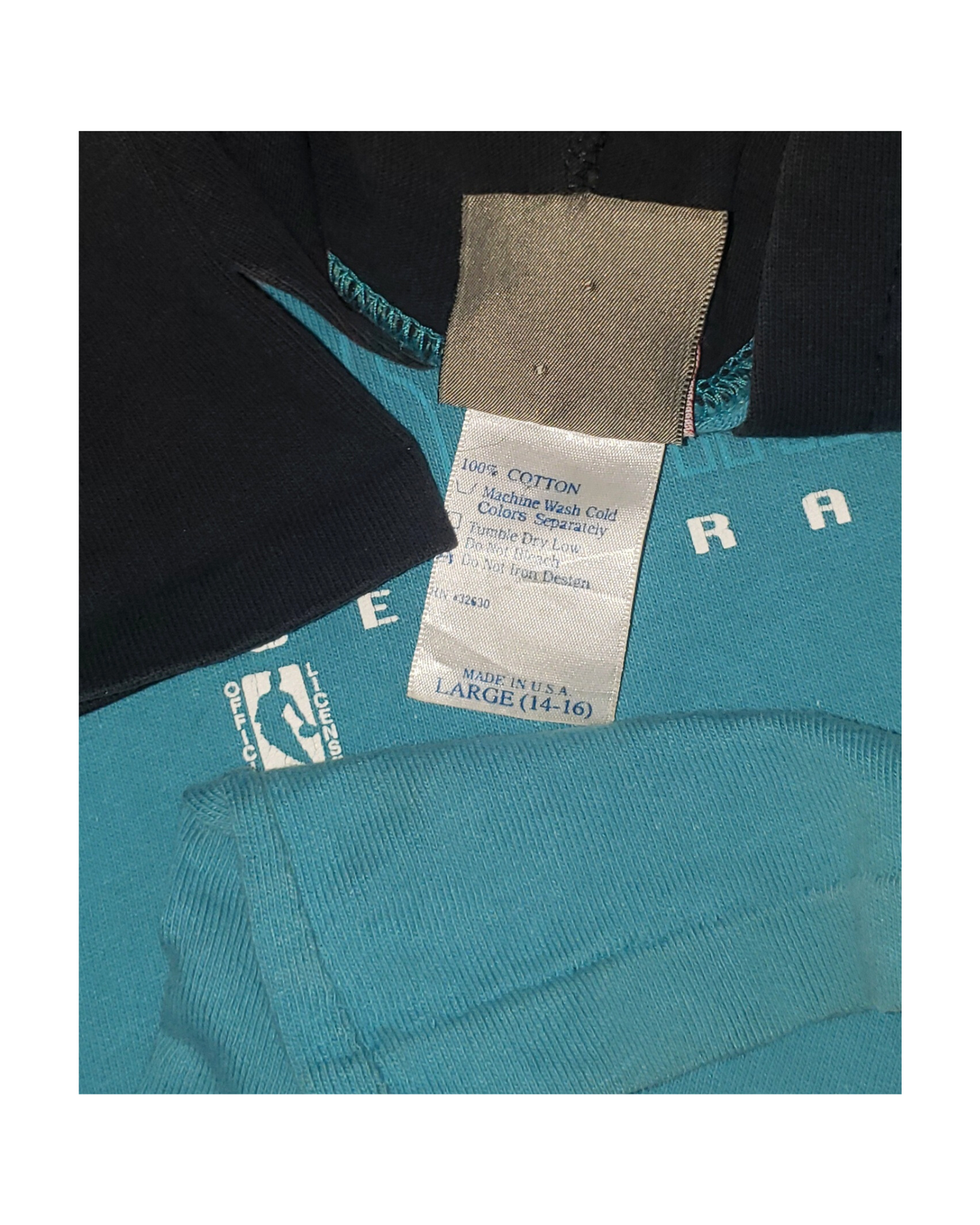 Vintage Charlotte Hornets Hooded 90's T-Shirt Lg