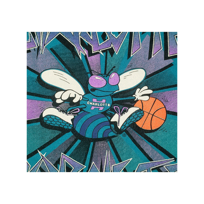 Vintage Charlotte Hornets NBA Graffiti 90's Crewneck Sweatshirt XL